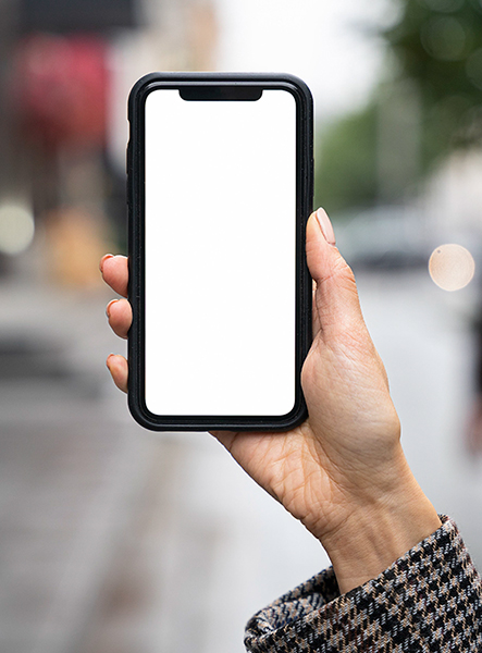 Profesyonel Web Sitesi