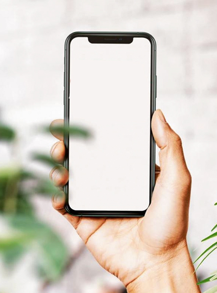 Profesyonel Web Sitesi